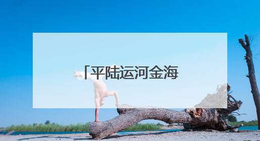 平陆运河金海湾大桥左幅桥面格子梁合龙