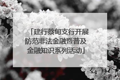 建行蔡甸支行开展防范非法金融暨普及金融知识系列活动