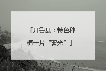 开鲁县：特色种植一片“薯光”