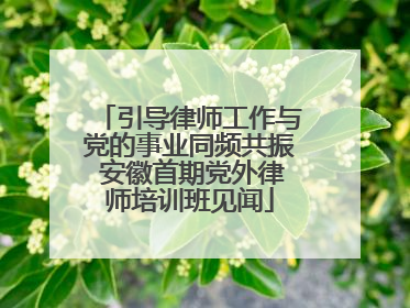 引导律师工作与党的事业同频共振 安徽首期党外律师培训班见闻
