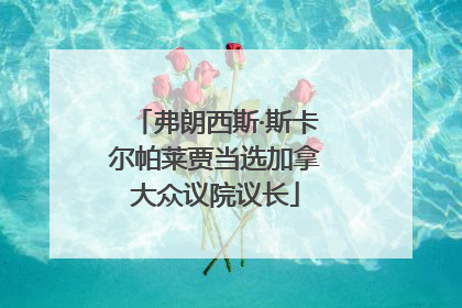 弗朗西斯·斯卡尔帕莱贾当选加拿大众议院议长