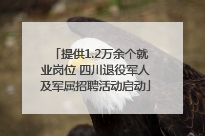 提供1.2万余个就业岗位 四川退役军人及军属招聘活动启动