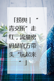 捞舆｜“青交所”走红，流量密码是官方带头“玩起来”
