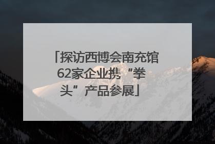 探访西博会南充馆 62家企业携“拳头”产品参展