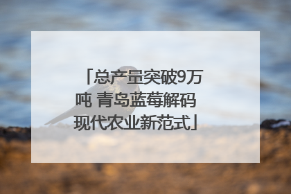 总产量突破9万吨 青岛蓝莓解码现代农业新范式