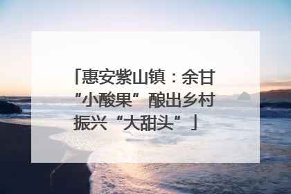 惠安紫山镇：余甘“小酸果”酿出乡村振兴“大甜头”