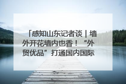 感知山东记者谈｜墙外开花墙内也香！“外贸优品”打通国内国际市场“旋转门”