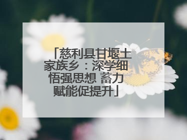 慈利县甘堰土家族乡：深学细悟强思想 蓄力赋能促提升