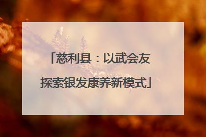 慈利县：以武会友 探索银发康养新模式