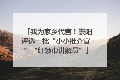 我为家乡代言！崇阳评选一批“小小推介官”“红领巾讲解员”