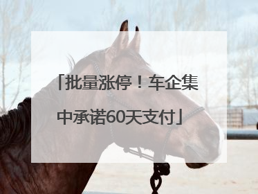 批量涨停！车企集中承诺60天支付