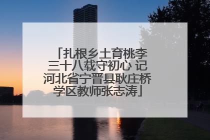 扎根乡土育桃李 三十八载守初心 记河北省宁晋县耿庄桥学区教师张志涛