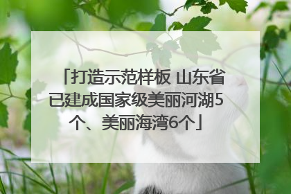 打造示范样板 山东省已建成国家级美丽河湖5个、美丽海湾6个