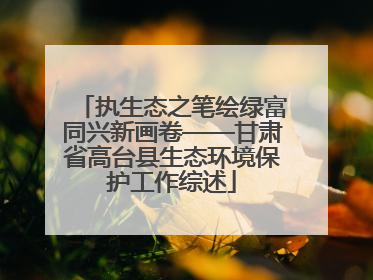 执生态之笔绘绿富同兴新画卷——甘肃省高台县生态环境保护工作综述