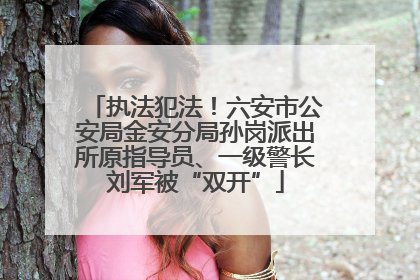 执法犯法！六安市公安局金安分局孙岗派出所原指导员、一级警长刘军被“双开”