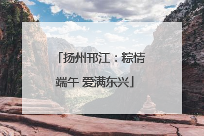 扬州邗江：粽情端午 爱满东兴