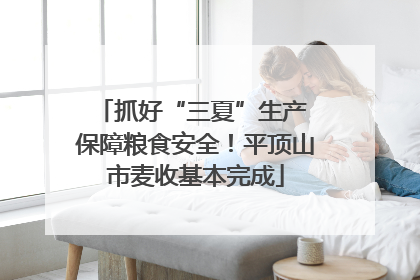 抓好“三夏”生产 保障粮食安全！平顶山市麦收基本完成