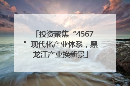 投资聚焦“4567”现代化产业体系，黑龙江产业换新景
