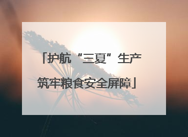 护航“三夏”生产 筑牢粮食安全屏障