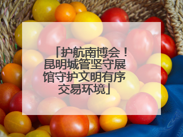 护航南博会！昆明城管坚守展馆守护文明有序交易环境