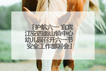 护航六一 宜宾江安四面山镇中心幼儿园召开六一节安全工作部署会