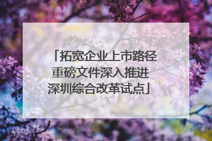 拓宽企业上市路径 重磅文件深入推进深圳综合改革试点