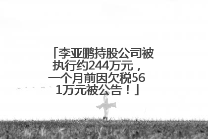 李亚鹏持股公司被执行约244万元，一个月前因欠税561万元被公告！