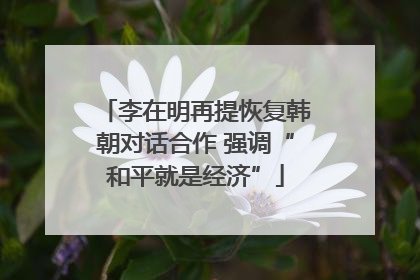 李在明再提恢复韩朝对话合作 强调“和平就是经济”