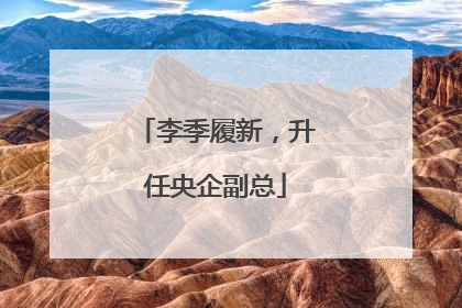 李季履新，升任央企副总