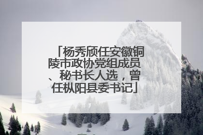杨秀颀任安徽铜陵市政协党组成员、秘书长人选，曾任枞阳县委书记