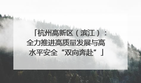 杭州高新区（滨江）：全力推进高质量发展与高水平安全“双向奔赴”