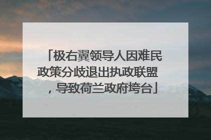 极右翼领导人因难民政策分歧退出执政联盟，导致荷兰政府垮台