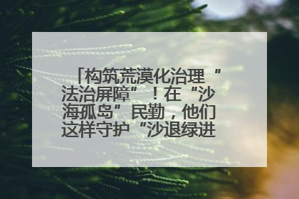 构筑荒漠化治理“法治屏障”！在“沙海孤岛”民勤，他们这样守护“沙退绿进”的生态奇迹
