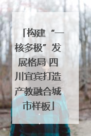 构建“一核多极”发展格局 四川宜宾打造产教融合城市样板