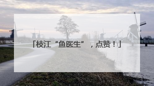 枝江“鱼医生”，点赞！