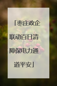 枣庄政企联动百日清障保电力通道平安