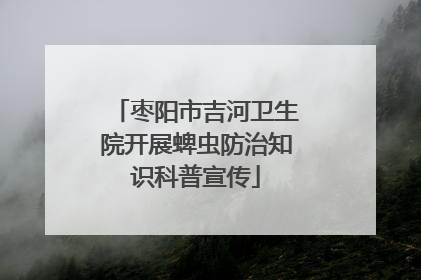 枣阳市吉河卫生院开展蜱虫防治知识科普宣传