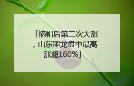 摘帽后第二次大涨，山东墨龙盘中最高涨超160%