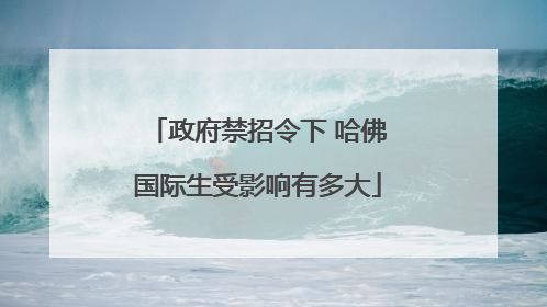 政府禁招令下 哈佛国际生受影响有多大
