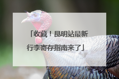 收藏！昆明站最新行李寄存指南来了
