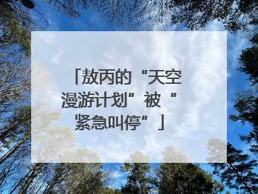 敖丙的“天空漫游计划”被“紧急叫停”