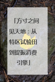 方寸之间见天地：从特区试验田到提振消费引擎