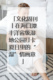 文化周刊丨在海口潭丰洋省级湿地公园打卡夏日里的“湿”情画意