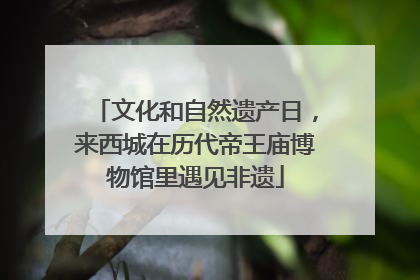 文化和自然遗产日，来西城在历代帝王庙博物馆里遇见非遗