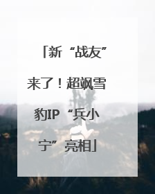 新“战友”来了！超飒雪豹IP“兵小宁”亮相