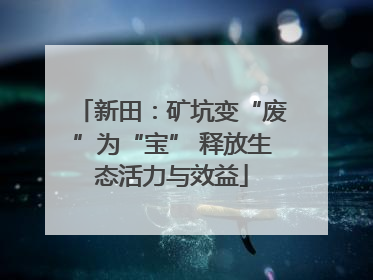 新田：矿坑变“废”为“宝” 释放生态活力与效益