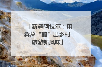 新疆阿拉尔：用桑葚“酿”出乡村旅游新风味