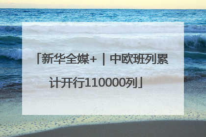 新华全媒+｜中欧班列累计开行110000列