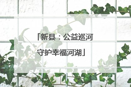 新县：公益巡河守护幸福河湖