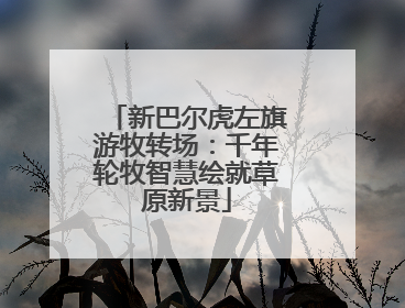 新巴尔虎左旗游牧转场：千年轮牧智慧绘就草原新景